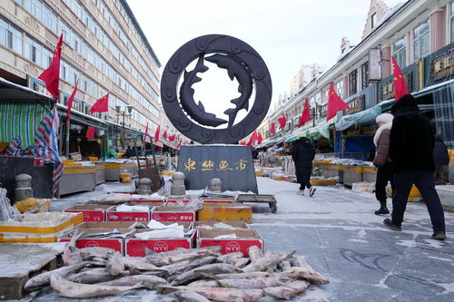 春節(jié)臨近 淡水魚都百年魚市銷售旺 城市生活垃圾經(jīng)營服務保障升級